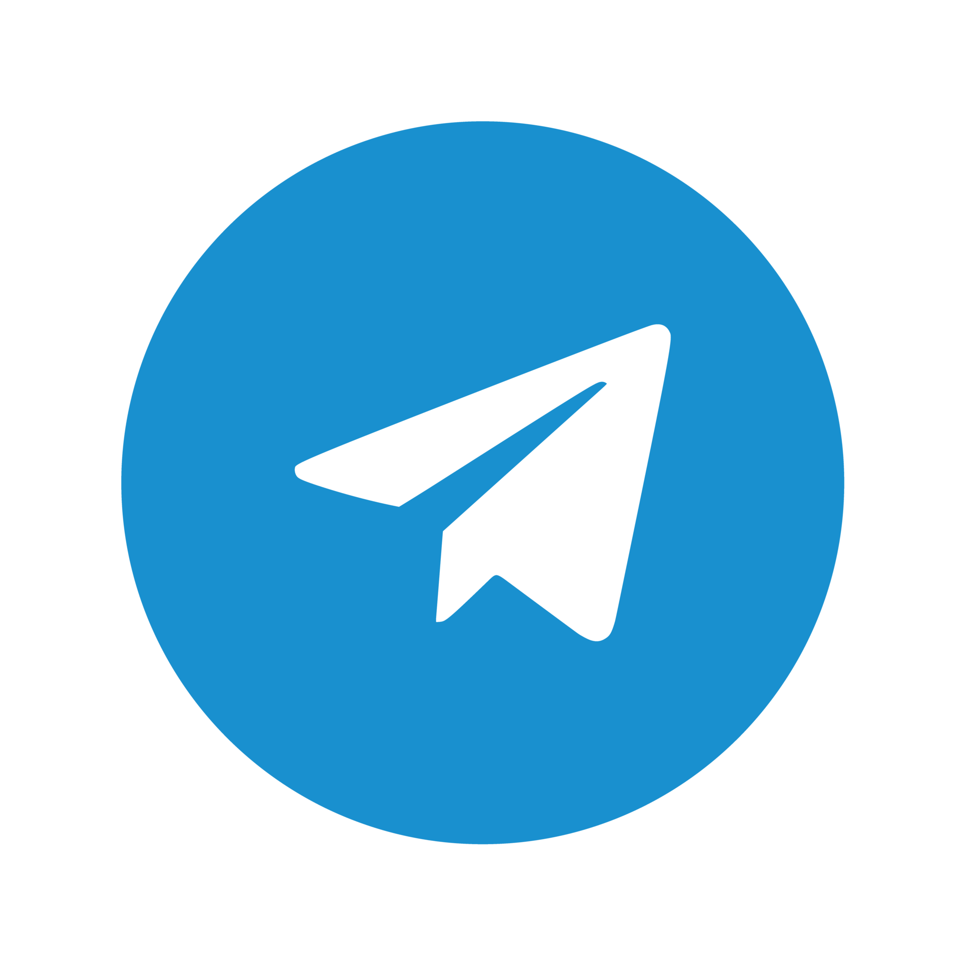 telegram